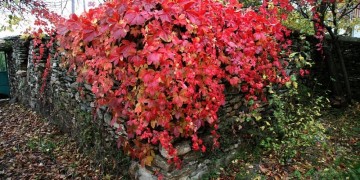 Φθινοπωρινή ισημερία 2017: Και επίσημα φθινόπωρο από την Παρασκευή