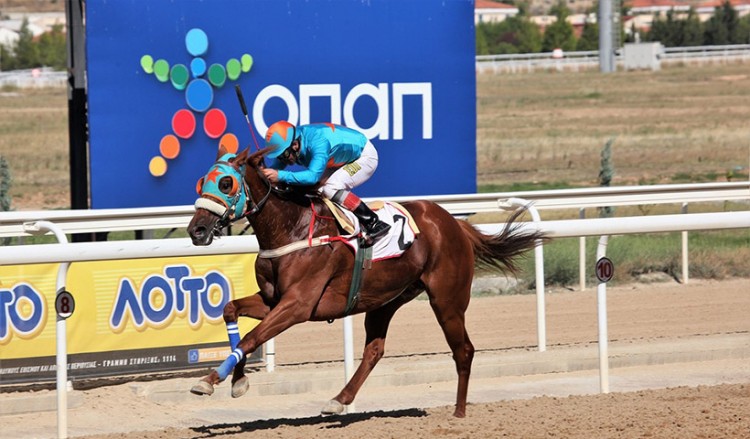 Δυνατό πρόγραμμα με οκτώ κούρσες και τρία ΣΚΟΡ στο Markopoulo Park