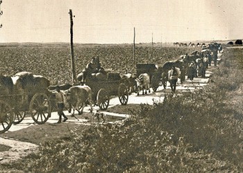 «Θα πάρουμ’ ένα δρόμο, πού θα μας βγάλ’ δεν ξέρουμ’!» με είπανε – Μαρτυρία από την εκκένωση της Θράκης, το 1922