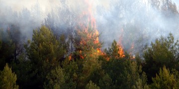 Φωτιά στην Αισύμη Έβρου – Ενισχύθηκαν οι πυροσβεστικές δυνάμεις