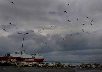 «Ζούμε μια άλλη πραγματικότητα», λέει ο δήμαρχος Ραφήνας – Το σπίτι του κάηκε, εκείνος συντόνιζε τις επιχειρήσεις