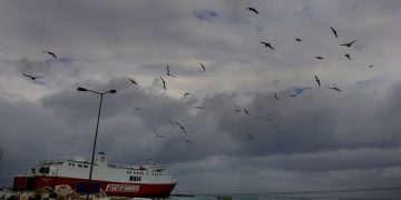 «Ζούμε μια άλλη πραγματικότητα», λέει ο δήμαρχος Ραφήνας – Το σπίτι του κάηκε, εκείνος συντόνιζε τις επιχειρήσεις