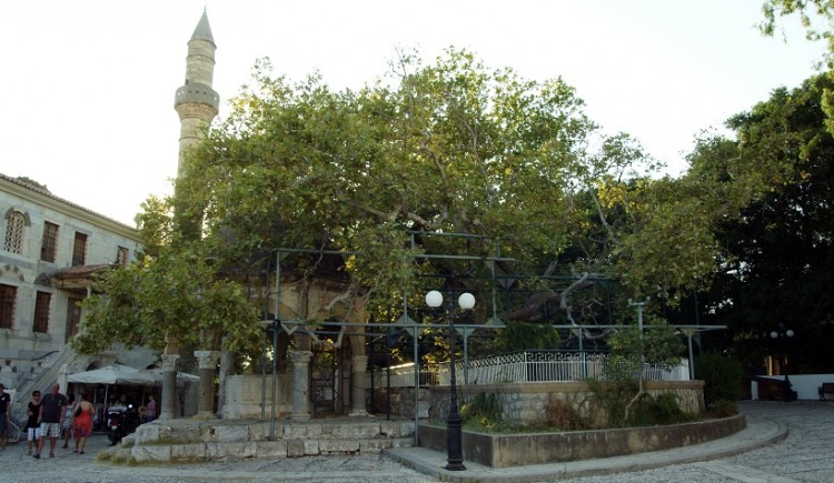 Ιάπωνας επιχειρηματίας θέλει να σώσει τον πλάτανο του Ιπποκράτη στην Κω