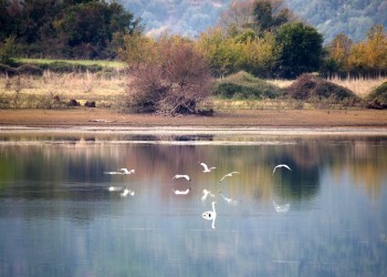 Αλλάζει ο χάρτης των περιοχών Natura, αυξάνονται οι φορείς διαχείρισης