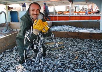 Εγομώθεν η θάλασσα χαψία (φωτο)