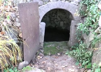 Το μεγάλο μυστικό των ψαριών της Νικόπολης του Πόντου