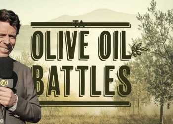 Olive Oil Battles: Ένα... Survivor για το καλύτερο ελληνικό ελαιόλαδο