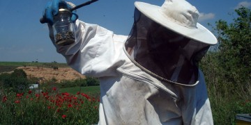 Το μέλι της «Μελισσοκομίας Αμφίπολης» βραβεύτηκε ως το καλύτερο φυσικό τρόφιμο