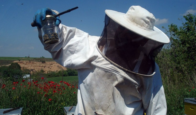 Το μέλι της «Μελισσοκομίας Αμφίπολης» βραβεύτηκε ως το καλύτερο φυσικό τρόφιμο