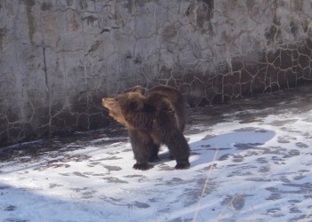 Δράμα: Η χριστουγεννιάτικη διάσωση της «Χριστίνας» (φωτο)