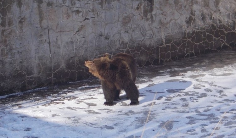 Δράμα: Η χριστουγεννιάτικη διάσωση της «Χριστίνας» (φωτο)