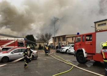 Έκρηξη με νεκρό και τραυματίες σε εργοστάσιο στην Αυστρία (βίντεο)