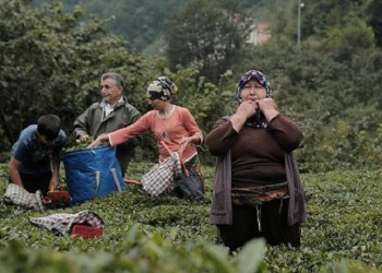 Η σφυριχτή γλώσσα της Κερασούντας θα διδάσκεται στο πανεπιστήμιο!