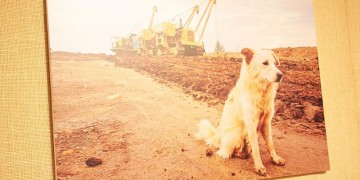 Ο αγωγός TAP μέσα από τα μάτια των 63 εργαζόμενων (φωτο)