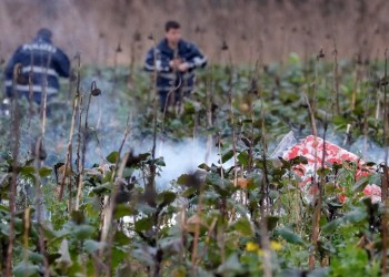 Γερμανία: Σύγκρουση ελικοπτέρου με μικρό αεροσκάφος στον αέρα