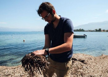 Στο Forbes ο 24χρονος Έλληνας Σταύρος Τσομπανίδης που αναδεικνύει τα ελληνικά φύκια παγκοσμίως