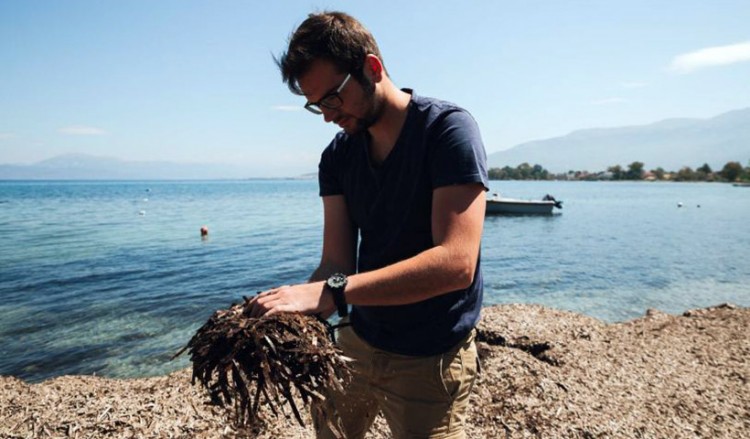 Στο Forbes ο 24χρονος Έλληνας Σταύρος Τσομπανίδης που αναδεικνύει τα ελληνικά φύκια παγκοσμίως