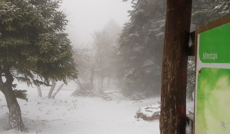 Χιονίζει στην Πάρνηθα