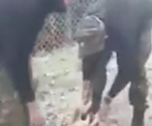 Αναγνωρίστηκαν οι οπλίτες που κακοποίησαν το σκυλί – ΕΔΕ από το ΓΕΣ