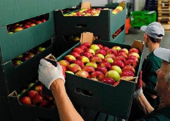 Επικίνδυνα φρούτα και λαχανικά εισάγονται από την Τουρκία στην Ελλάδα