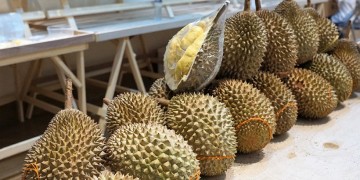 Εκκενώθηκε πανεπιστημιακή βιβλιοθήκη στη Μελβούρνη λόγω... φρούτου