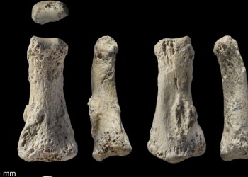 Αποκαλύφθηκε το αρχαιότερο απολίθωμα Homo sapiens