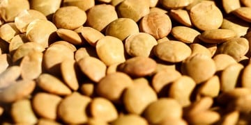 Μοναστηριακές φακές αλάδωτες, διαφορετικές!