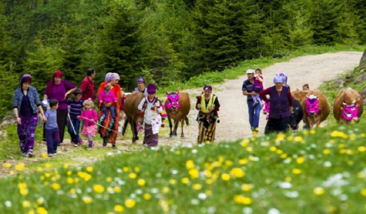 Η κόρ' επήεν 'ς σο παρχάρ'