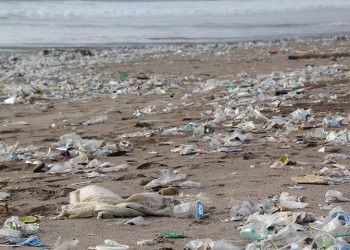 Η ΕΕ κηρύσσει τον πόλεμο στα πλαστικά σκεύη μιας χρήσης!