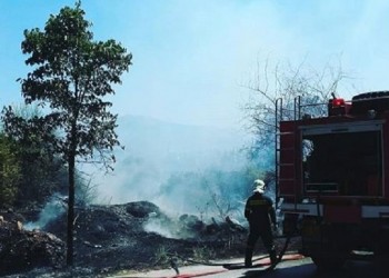 Έσβησε η φωτιά στο άλσος Συγγρού – Τραυματίστηκε ένας πυροσβέστης