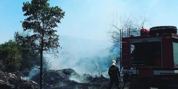 Έσβησε η φωτιά στο άλσος Συγγρού – Τραυματίστηκε ένας πυροσβέστης