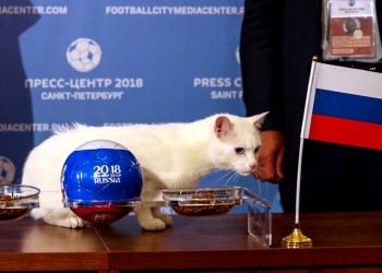 Νίκη της Ρωσίας προβλέπει ο γάτος-μάντης Αχιλλέας στον πρώτο αγώνα του Μουντιάλ 2018