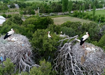 Μαγεύει η Κοιλάδα των Πελαργών στο Ικόνιο (φωτο, βίντεο)