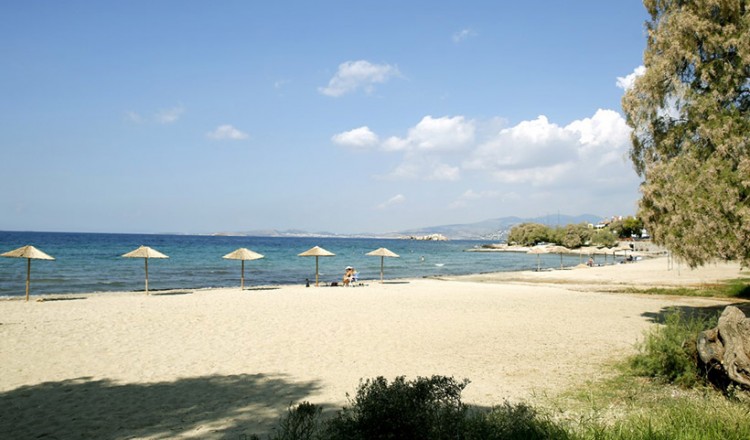 Ελληνοαμερικανοί μαθητές καθαρίζουν τις ακτές της Σαρωνίδας και ζητούν βοήθεια