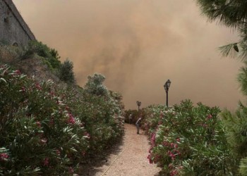 Φωτιές σε Μεσόκαμπο Σάμου και Καστρίτσα Ιωαννίνων 5