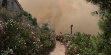 Φωτιές σε Μεσόκαμπο Σάμου και Καστρίτσα Ιωαννίνων 5