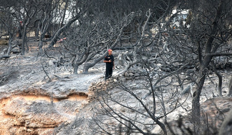 «Βγάζω το καπέλο στο προσωπικό του ξενοδοχείου», λέει 72χρονη Βελγίδα τουρίστρια που διασώθηκε από τις πυρκαγιές στην Αττική