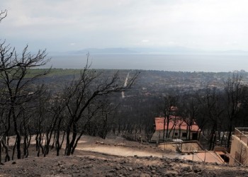 Ο αθλητικός κόσμος δίπλα στους πληγέντες των πυρκαγιών της Αττικής