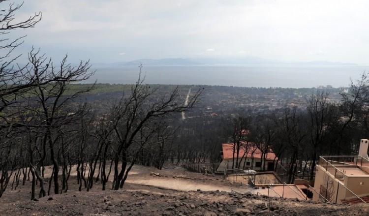 Ο αθλητικός κόσμος δίπλα στους πληγέντες των πυρκαγιών της Αττικής
