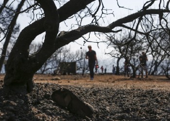Πυρκαγιές στην Αττική: Κάποιοι σοροί ίσως δεν ταυτοποιηθούν ποτέ