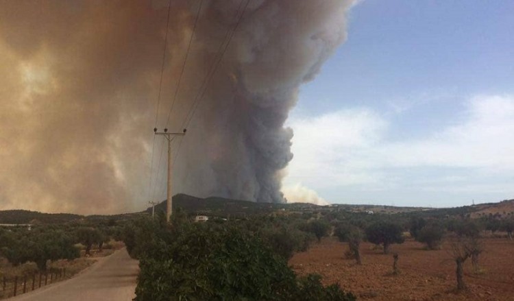 Τώρα μεγάλη φωτιά κοντά στην Κινέτα (βίντεο)