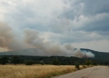 Φωτιά στη Λευκίμη Έβρου: Σώθηκε το εθνικό πάρκο