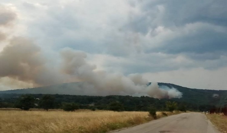Φωτιά στη Λευκίμη Έβρου: Σώθηκε το εθνικό πάρκο