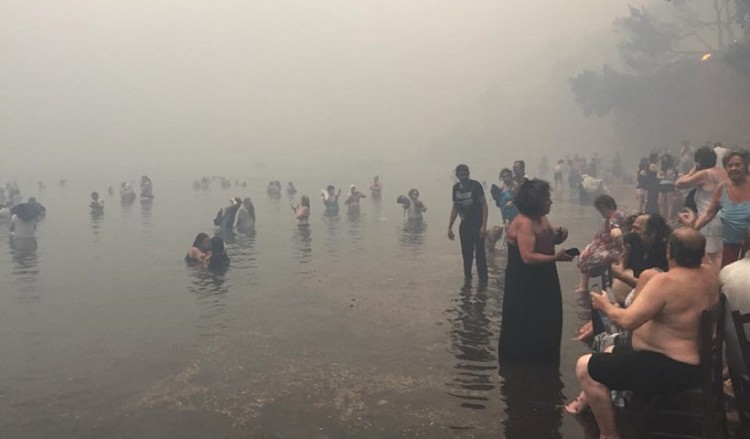 Έπεφταν στη θάλασσα για να σωθούν από τη φωτιά στην Αττική (φωτο, βίντεο)