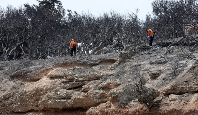 Χάθηκαν 13.000 στρέμματα από τις φωτιές στην Αττική (χάρτης)