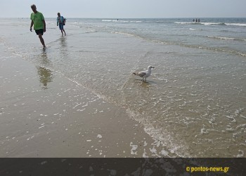 Έρχονται περισσότερα κύματα καύσωνα λόγω της κλιματικής αλλαγής!