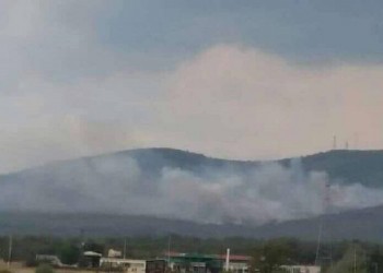 Φωτιά καίει πευκοδάσος στη Λευκίμη Σουφλίου