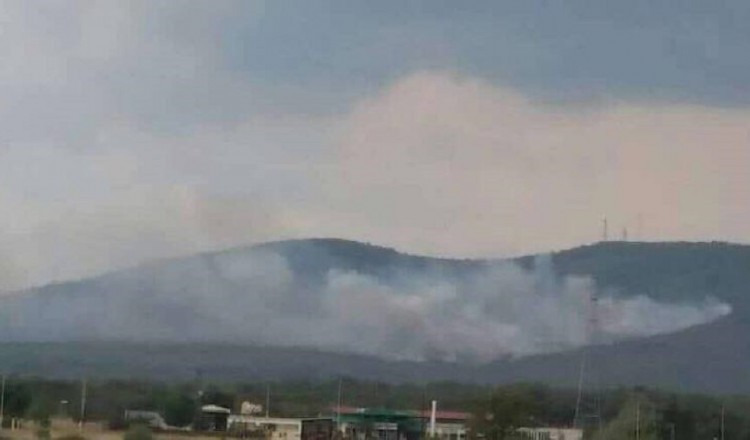 Φωτιά καίει πευκοδάσος στη Λευκίμη Σουφλίου