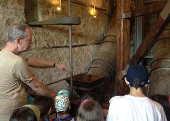 Ένα δημιουργικό καλοκαίρι της Ευξείνου Λέσχης Νάουσας έφτασε στο τέλος του