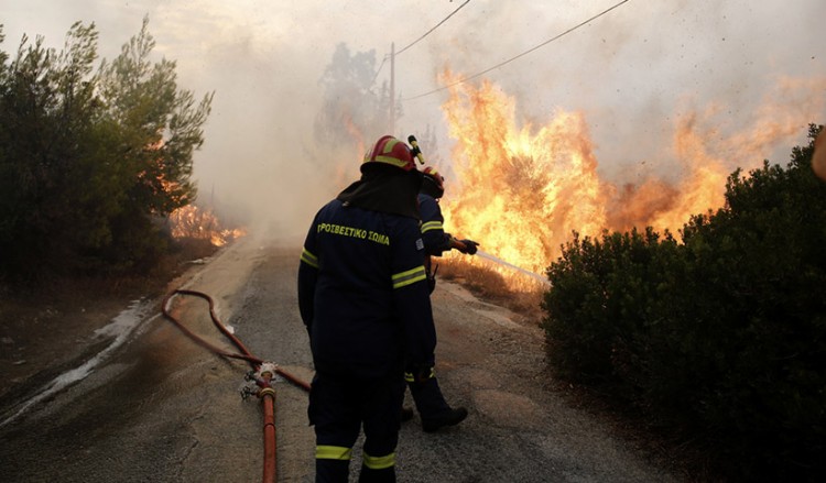 Καθ. Ευθύμης Λέκκας: Οι δέκα λόγοι της τραγωδίας από τις πυρκαγιές της Αττικής (βίντεο)